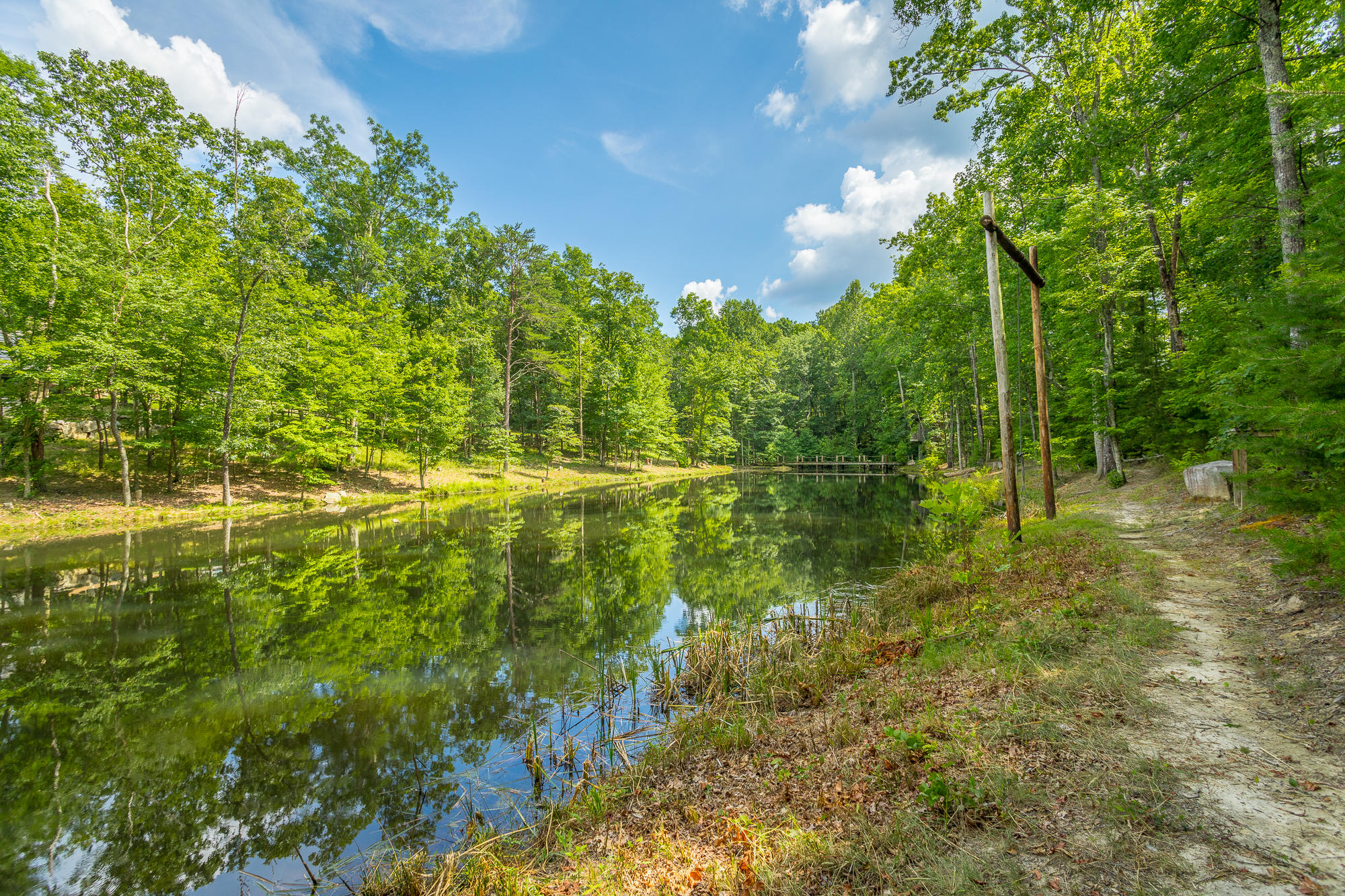 137 Little Bluff Road, Unit LOT 15 Rising Fawn, GA 30738 - Photo 21 of 24 Lake Rope Swing