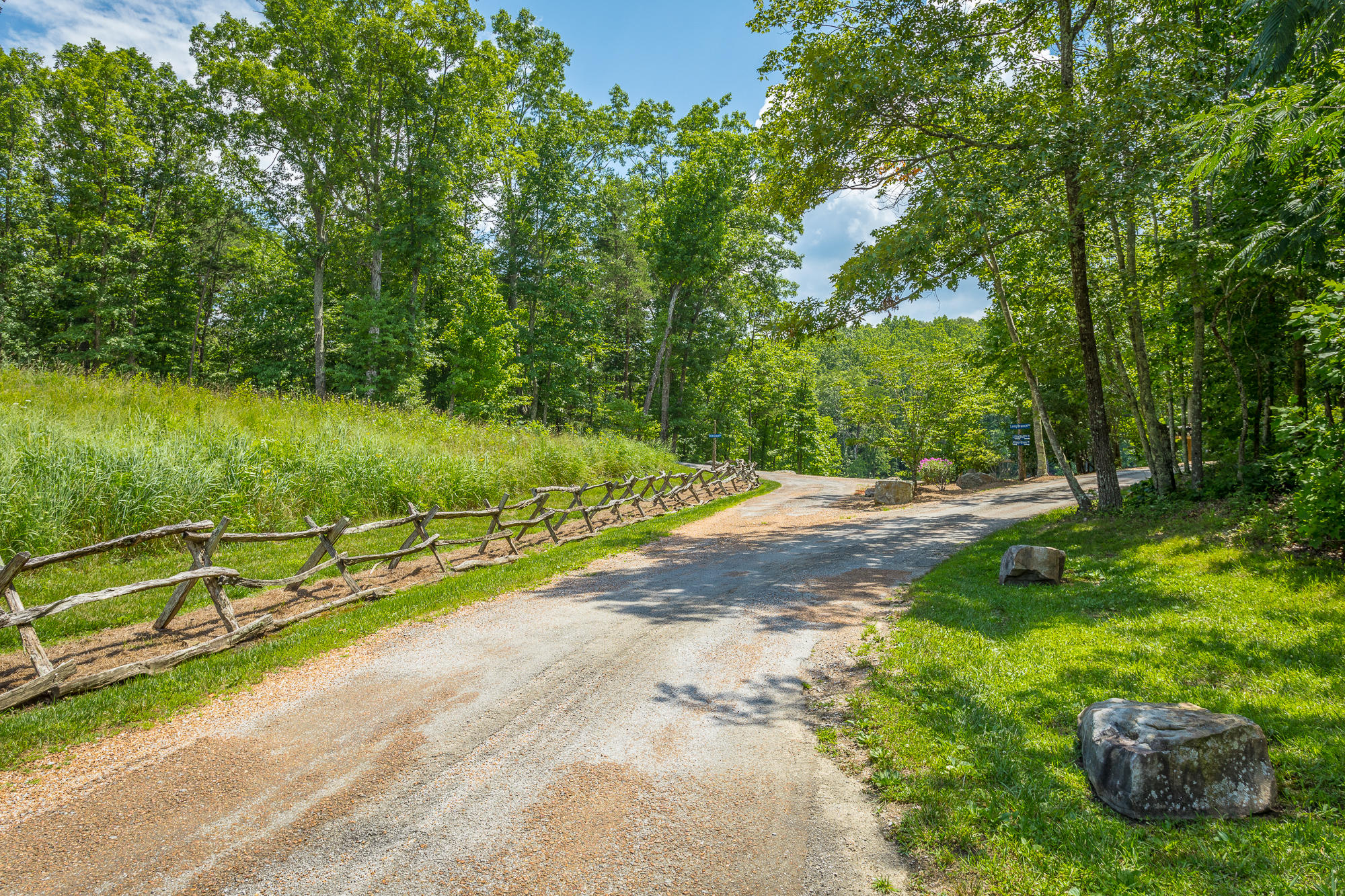 137 Little Bluff Road, Unit LOT 15 Rising Fawn, GA 30738 - Photo 10 of 24 Road and Fence