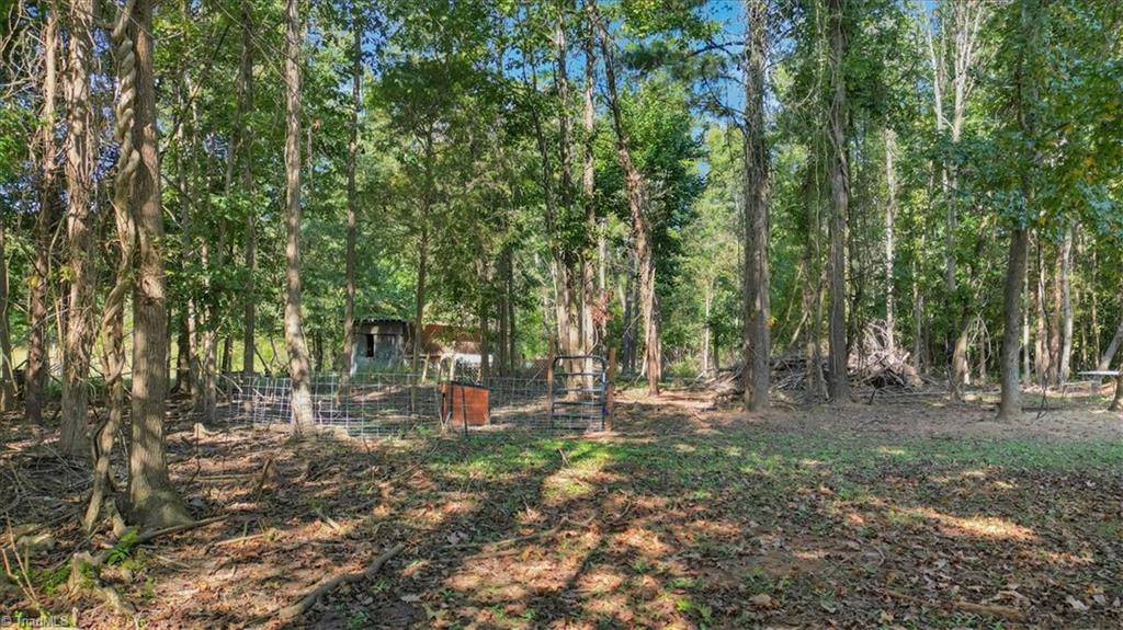6676 Clyde King Road Seagrove, NC 27341 - Photo 34 of 43