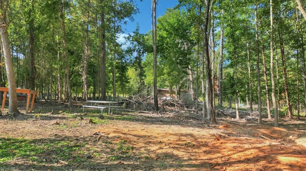6676 Clyde King Road Seagrove, NC 27341 - Photo 35 of 43