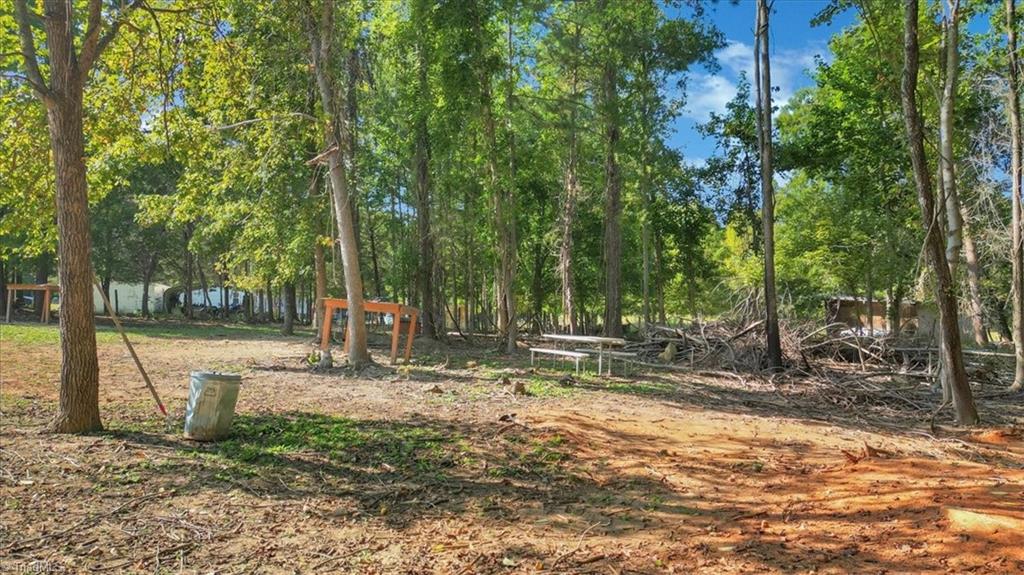 6676 Clyde King Road Seagrove, NC 27341 - Photo 36 of 43