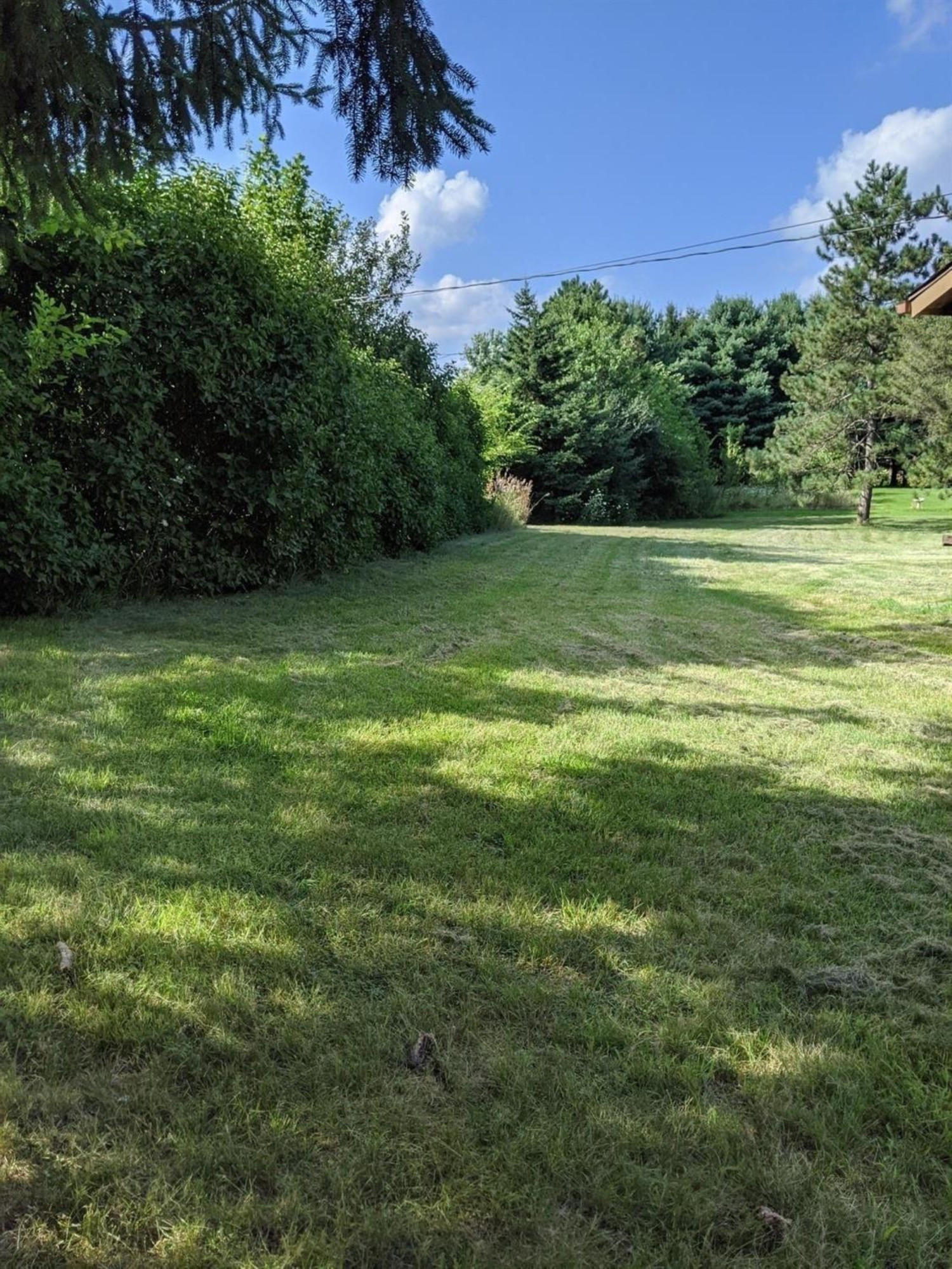 21402 Waterloo Road Chelsea, MI 48118 - Photo 23 of 23 Yard View