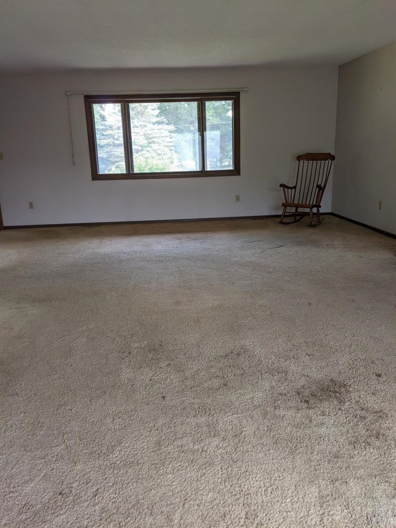 21402 Waterloo Road Chelsea, MI 48118 - Photo 4 of 23 Photo 4
