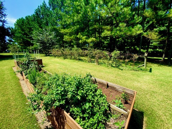 7404 Hoods Branch Road Springfield, TN 37172 - Photo 35 of 50 a view of yard with green space