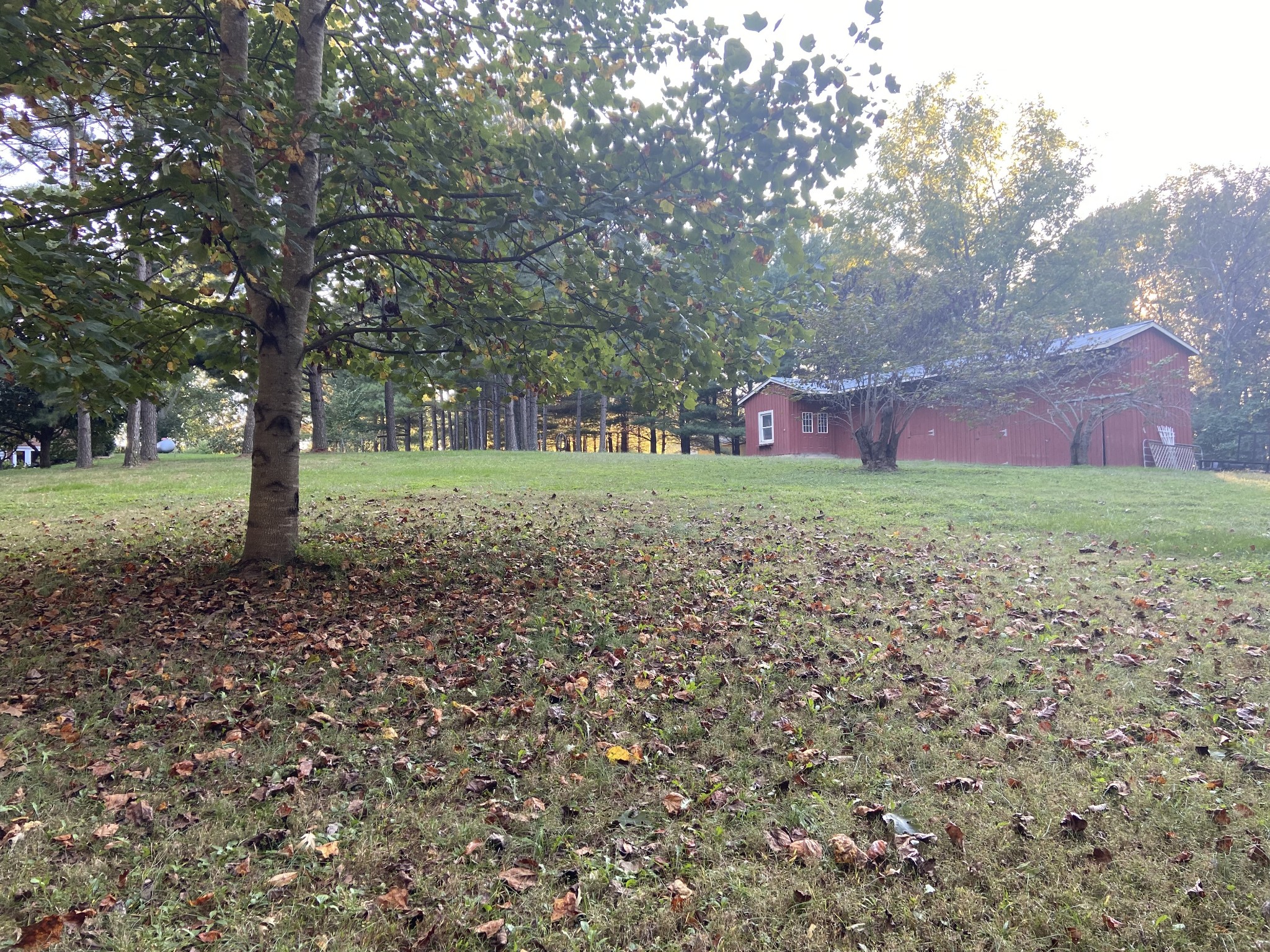 7404 Hoods Branch Road Springfield, TN 37172 - Photo 36 of 50 a big yard with lots of green space and trees