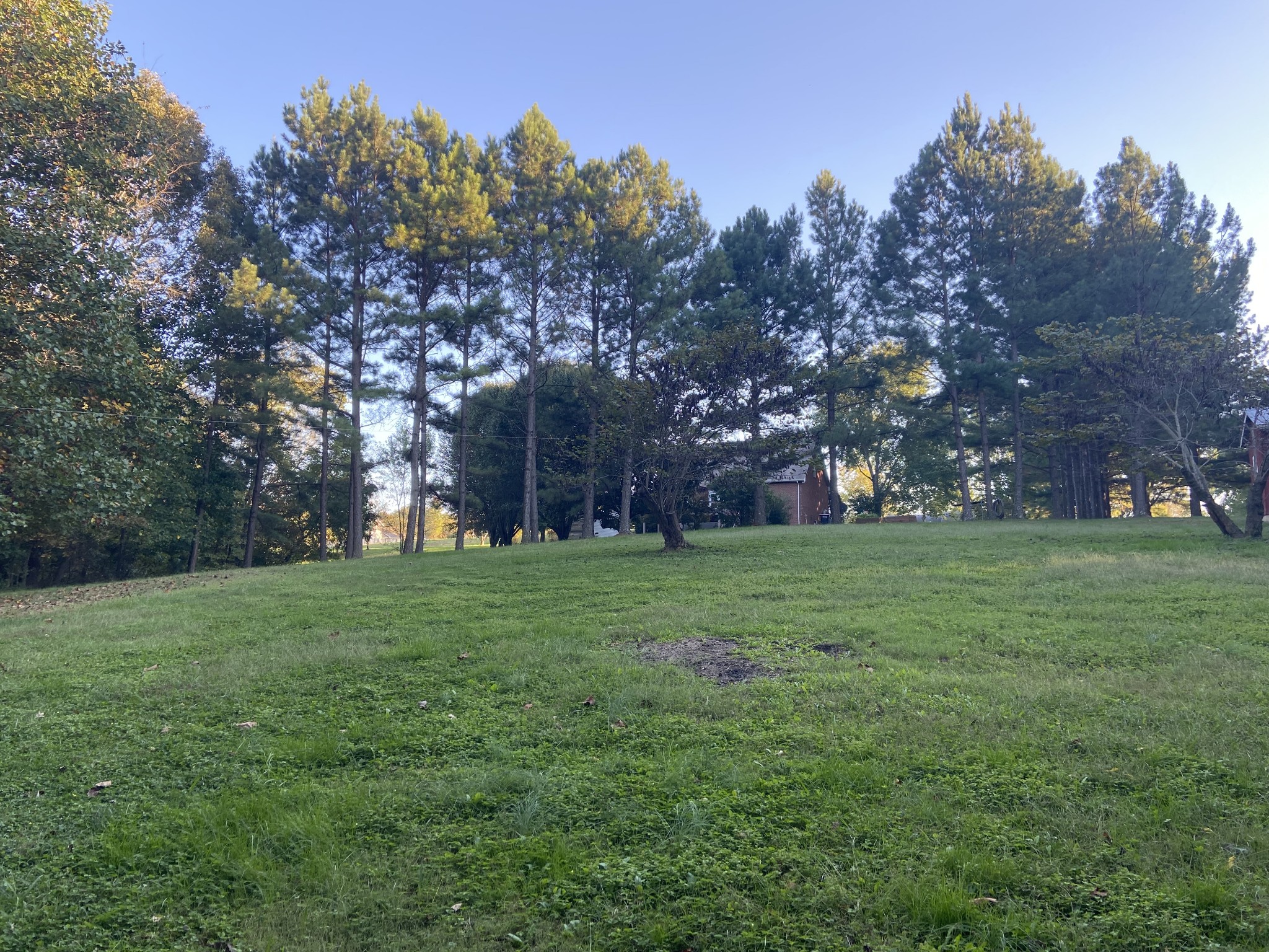 7404 Hoods Branch Road Springfield, TN 37172 - Photo 42 of 50 a big yard with lots of green space and fountain in the back yard