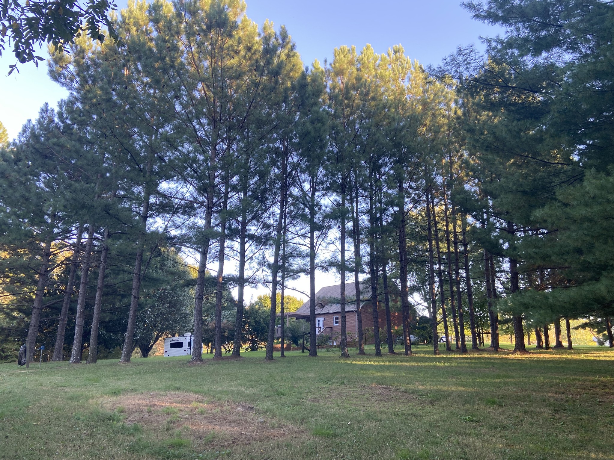 7404 Hoods Branch Road Springfield, TN 37172 - Photo 43 of 50 a garden view with trees