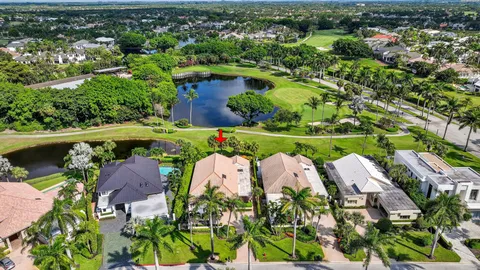 a view of a yard with a palm trees