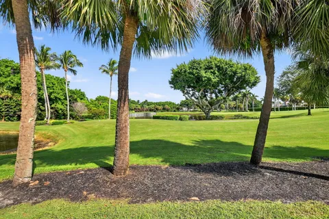 a view of a yard with palm trees