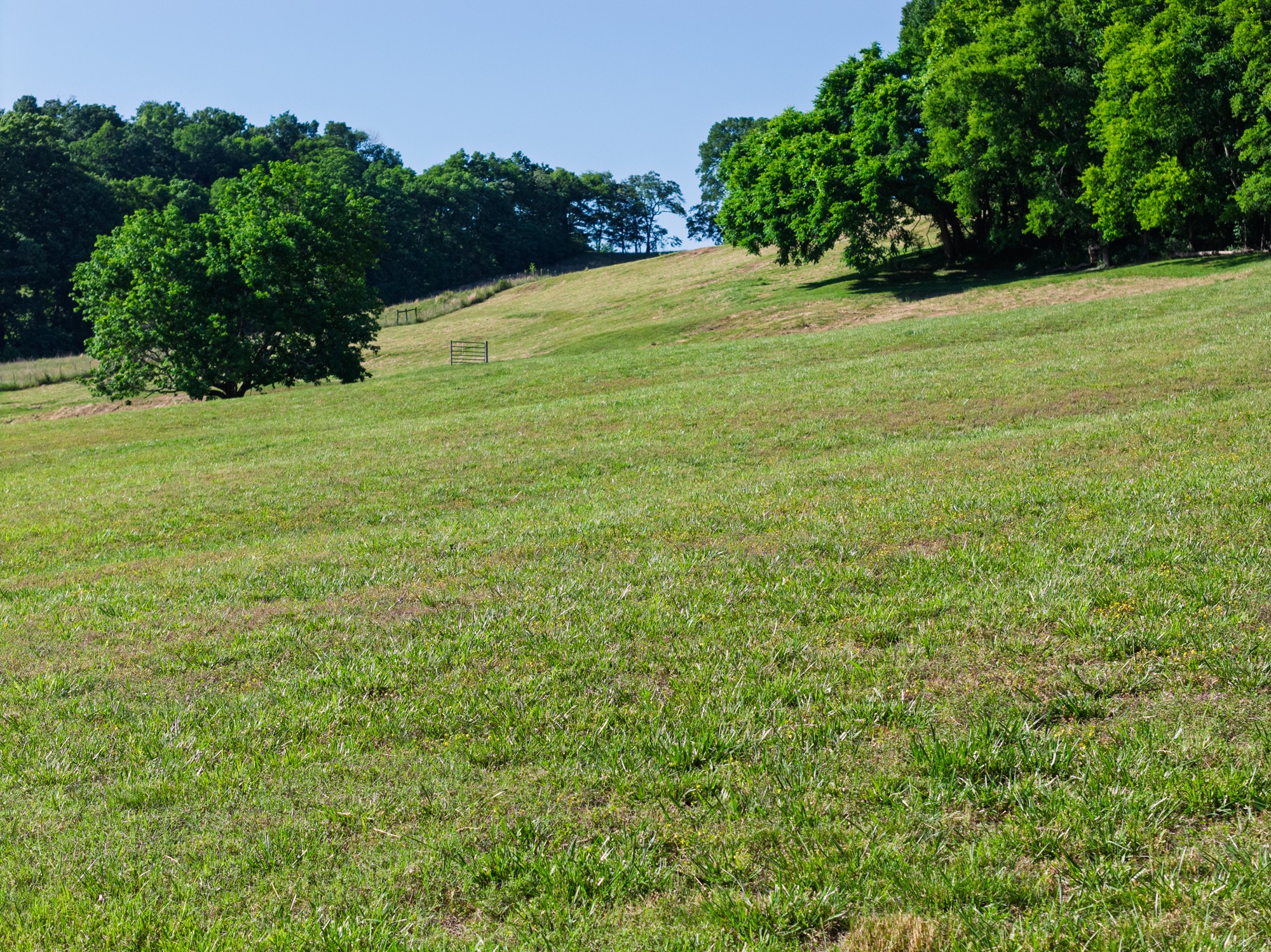 0 Morel Road Columbia, TN 38401 - Photo 4 of 21 Gallery Image 4