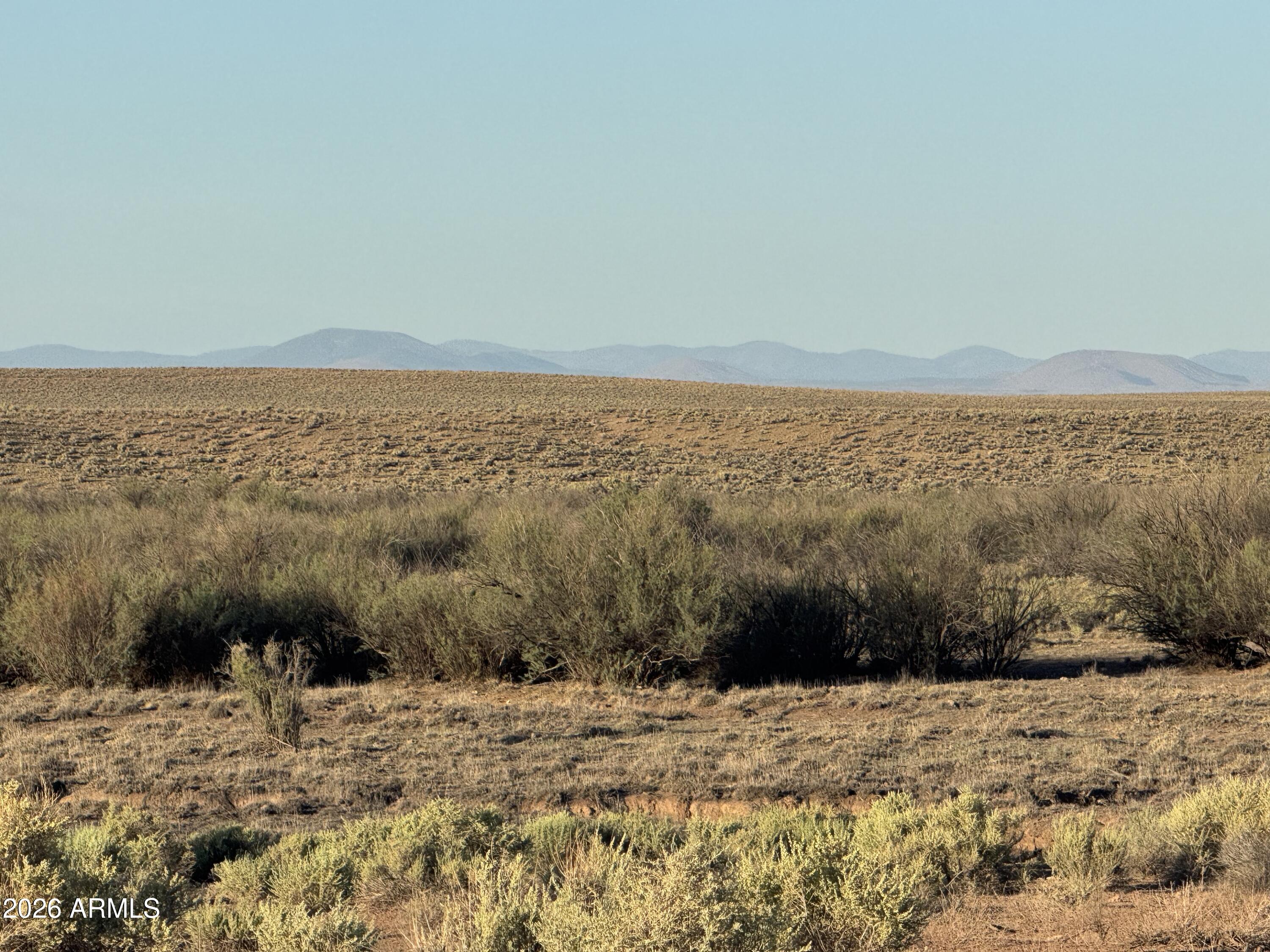 Lot 445 Carrizo Ranch, Unit 445 St. Johns, AZ 85936 - Photo 17 of 17 IMG_1886