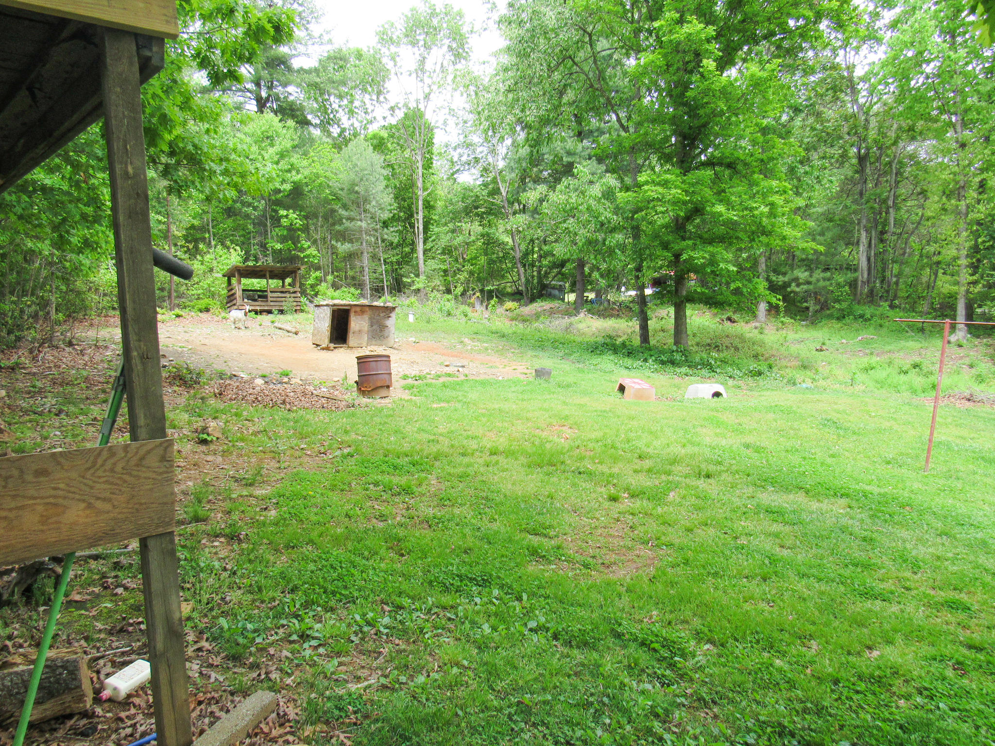 2589 Old Ferrum Road Ferrum, VA 24088 - Photo 27 of 30 a view of a park with large trees