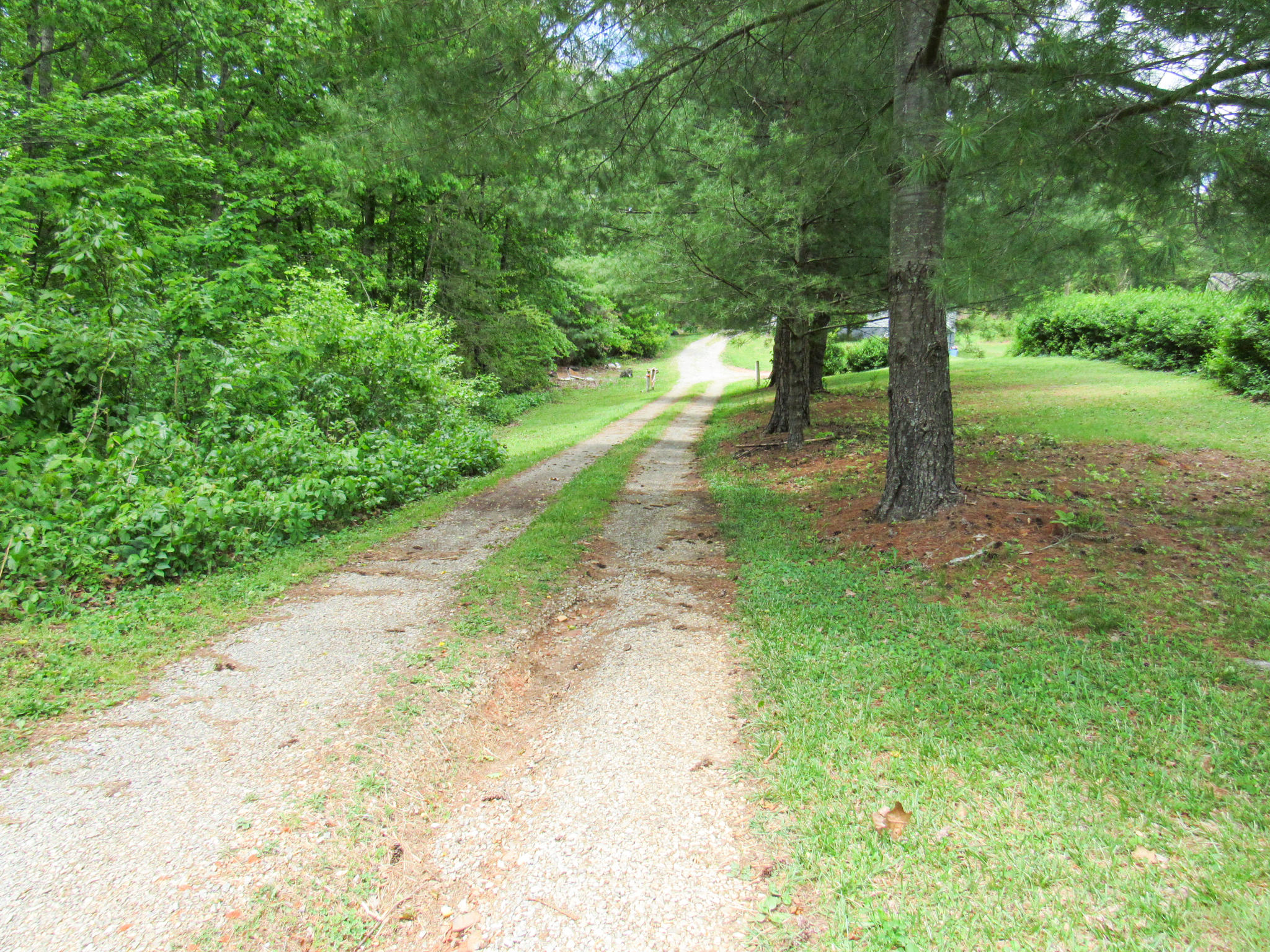 2589 Old Ferrum Road Ferrum, VA 24088 - Photo 29 of 30 a view of a yard with plants and trees
