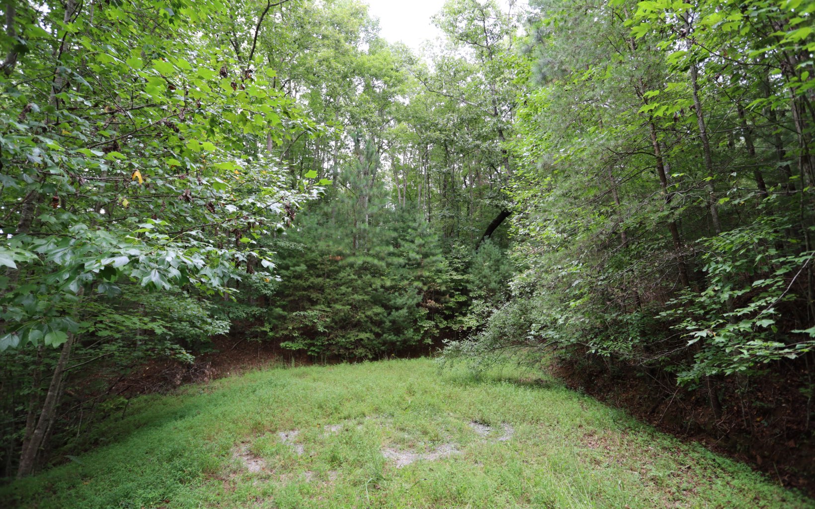 11 Noontootla Ridge Blue Ridge, GA 30513 - Photo 7 of 8 Additional View