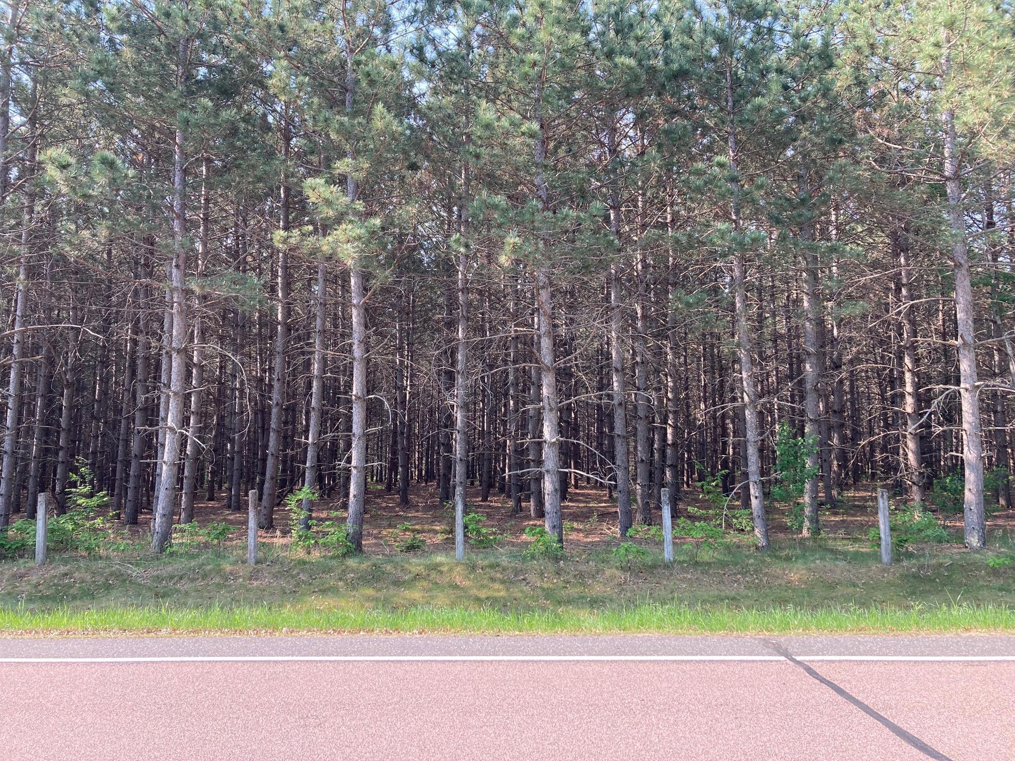 Lot 5 Fawn Lake Road Pequot Lakes, MN 56472 - Photo 9 of 10 Gallery Image 9