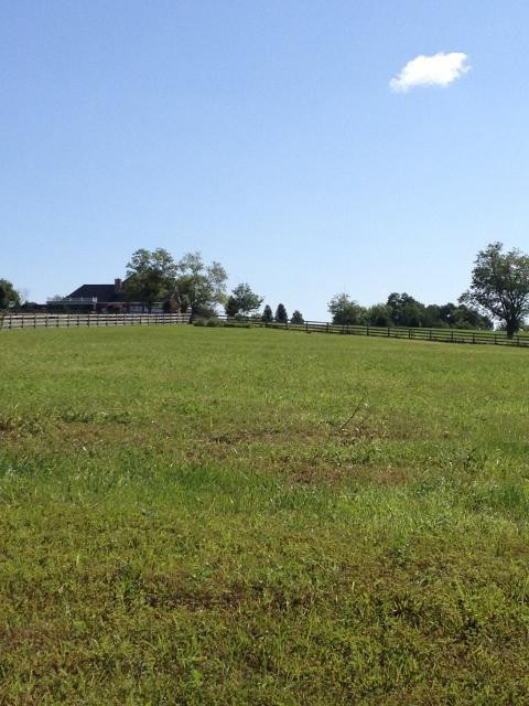 112 Spring Island Drive Georgetown, KY 40324 - Photo 5 of 5 Photo 5
