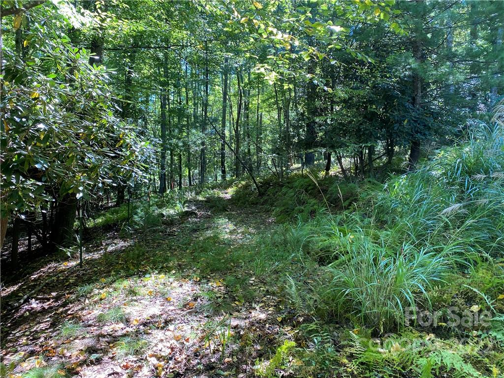 Tbd Baker Road Arden, NC 28704 - Photo 3 of 6 Gallery Image 3