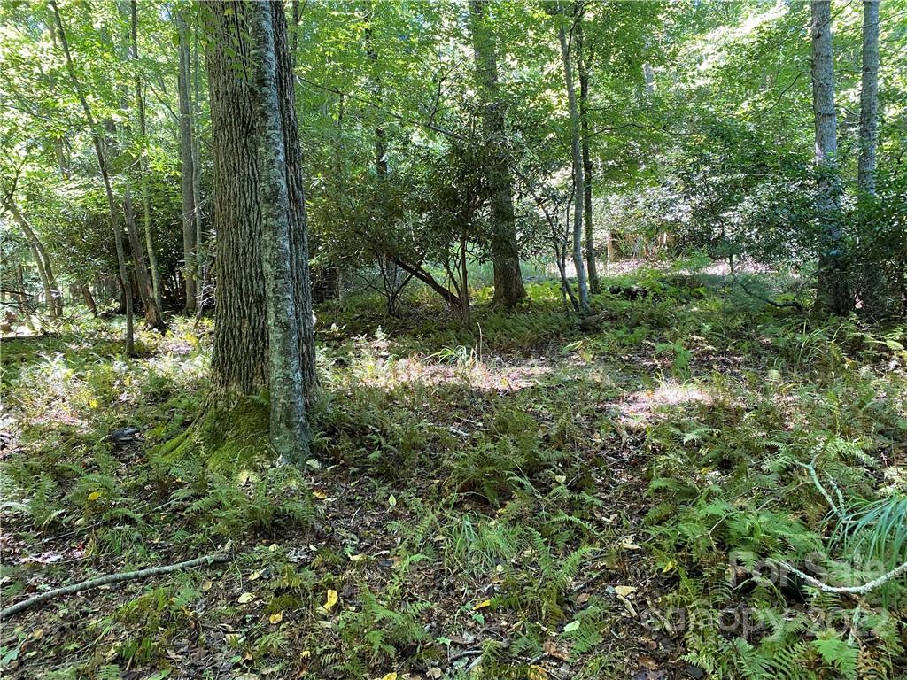 Tbd Baker Road Arden, NC 28704 - Photo 4 of 6 Gallery Image 4