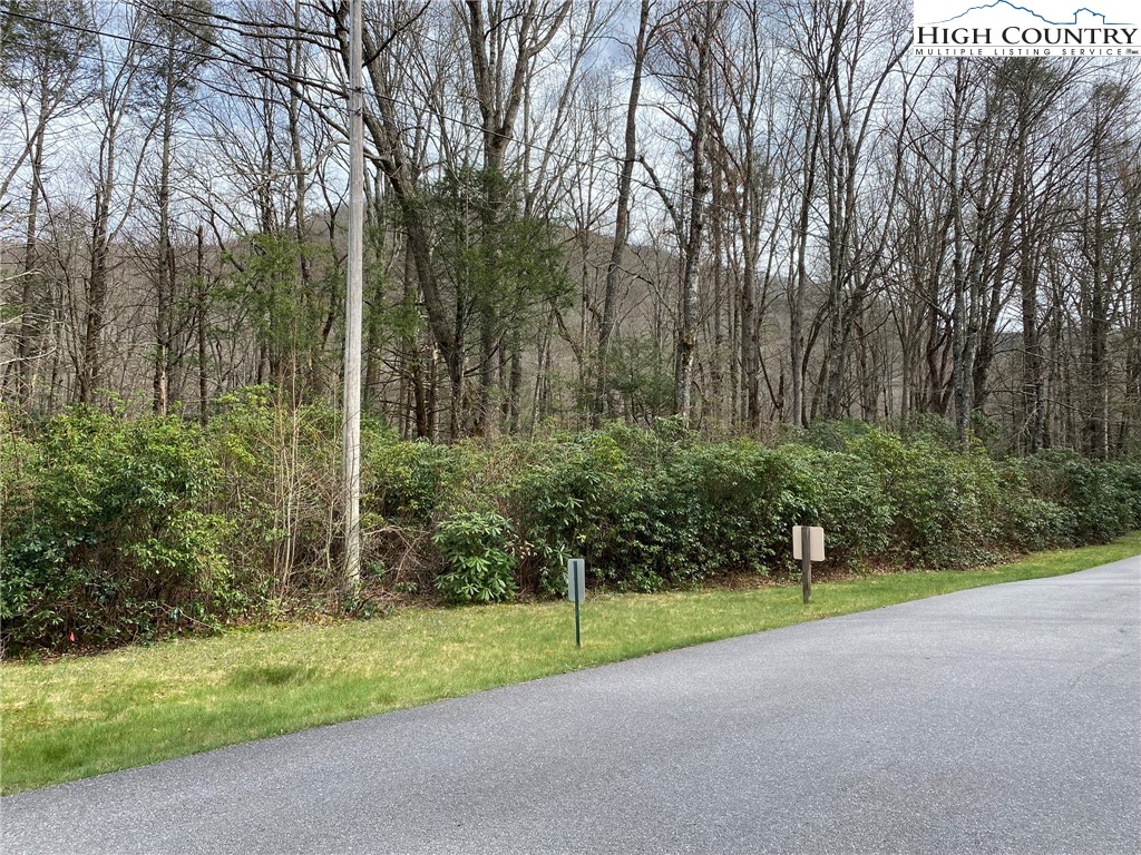 Sweetwater Ridge Burnsville, NC 28714 - Photo 11 of 39