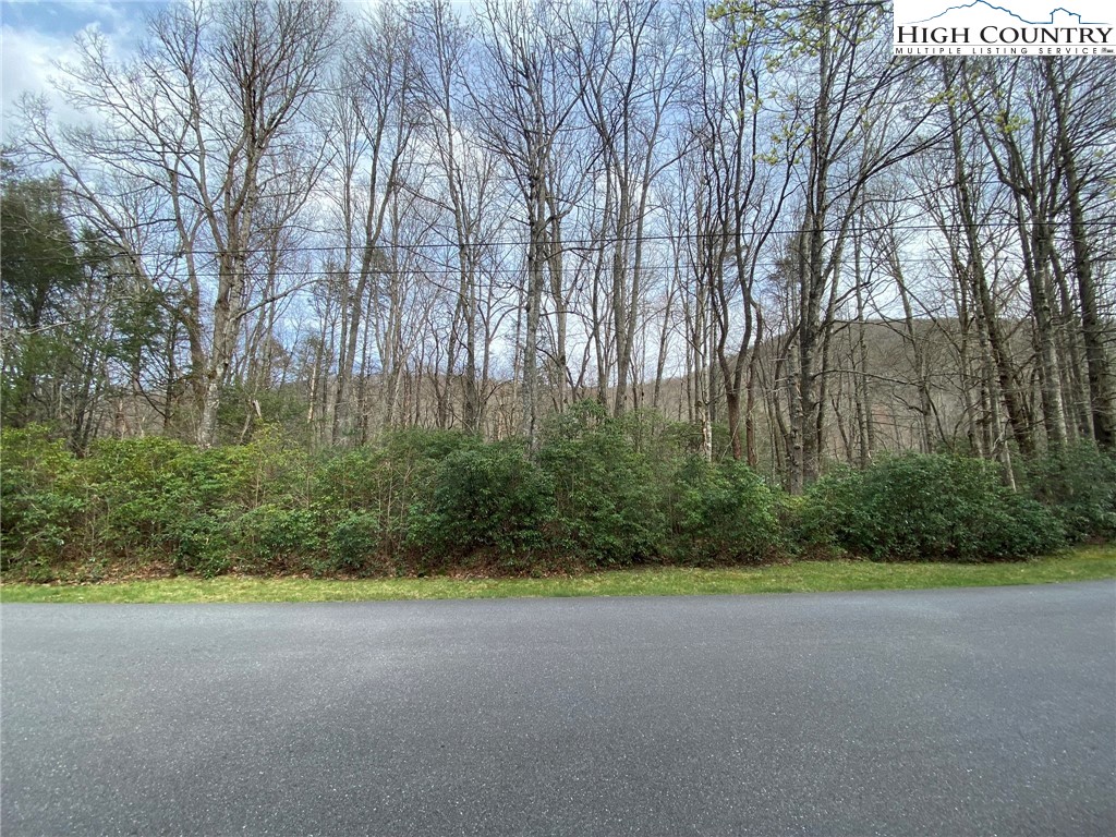 Sweetwater Ridge Burnsville, NC 28714 - Photo 13 of 39 a view of a garden with a house