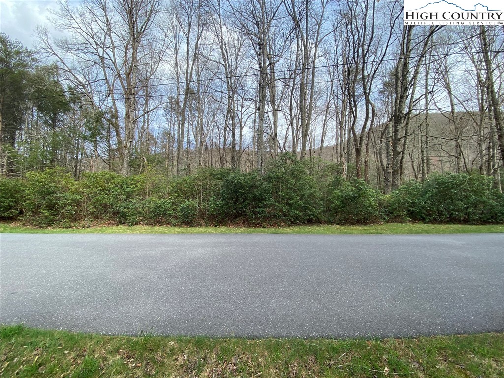 Sweetwater Ridge Burnsville, NC 28714 - Photo 14 of 39 a view of a yard with a tree