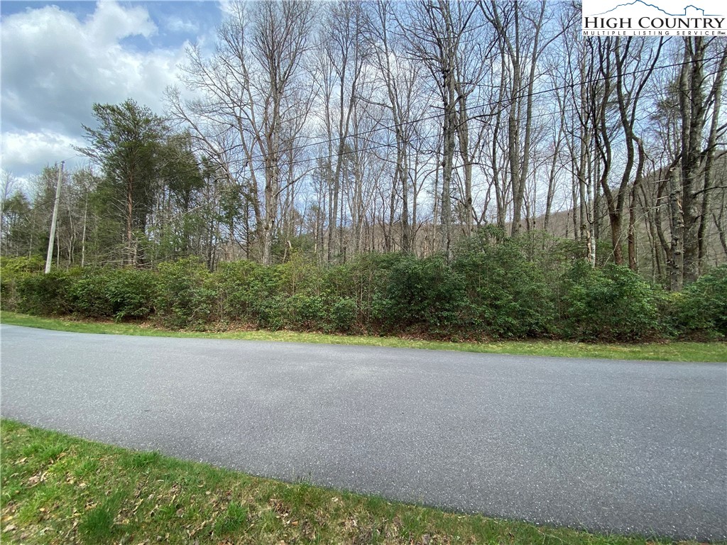 Sweetwater Ridge Burnsville, NC 28714 - Photo 15 of 39 a view of a yard with plants and trees