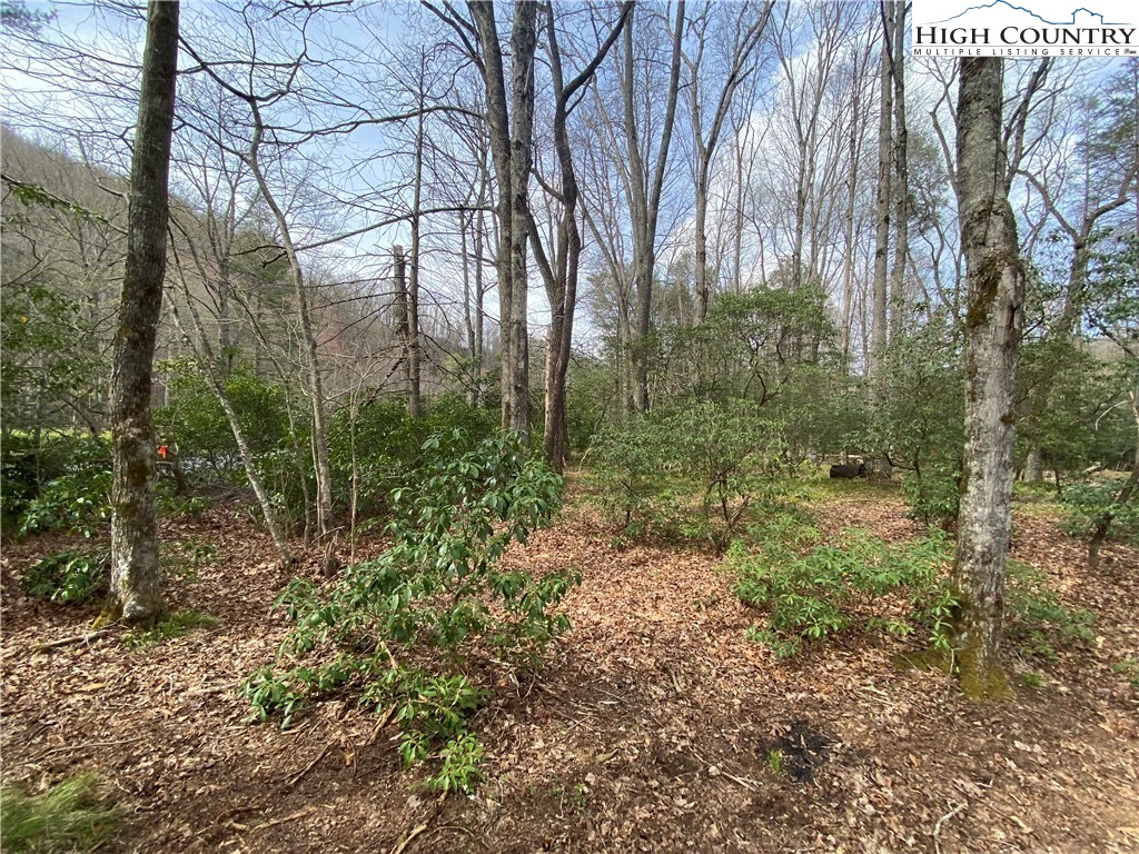 Sweetwater Ridge Burnsville, NC 28714 - Photo 18 of 39 a view of a forest with trees