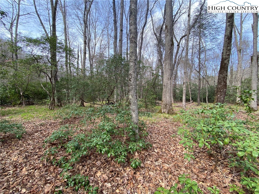Sweetwater Ridge Burnsville, NC 28714 - Photo 20 of 39 a view of backyard with green space