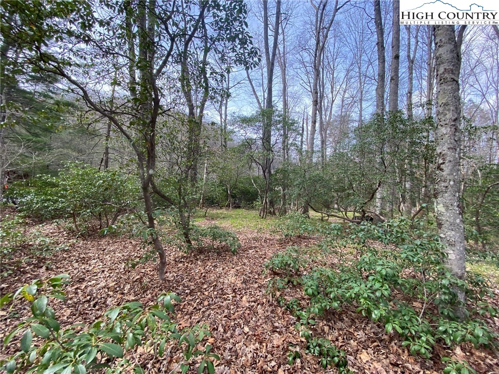 Sweetwater Ridge Burnsville, NC 28714 - Photo 21 of 39