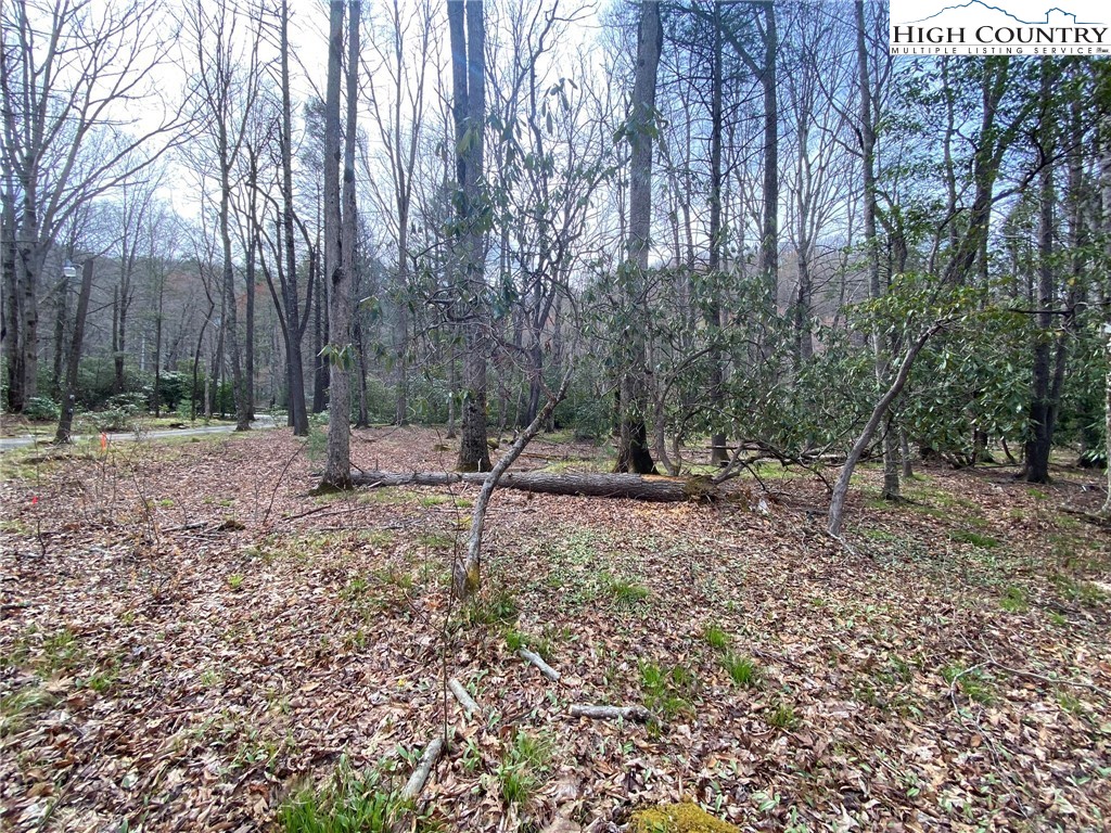 Sweetwater Ridge Burnsville, NC 28714 - Photo 22 of 39 a backyard of a house with lots of green space