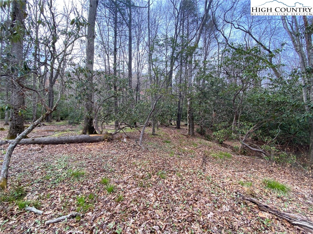 Sweetwater Ridge Burnsville, NC 28714 - Photo 23 of 39 a view of a forest filled with trees