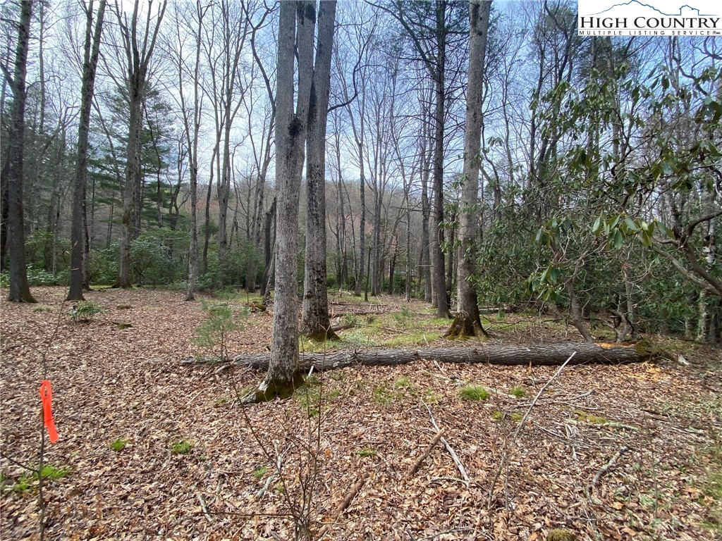 Sweetwater Ridge Burnsville, NC 28714 - Photo 24 of 39 a backyard of a house with lots of green space