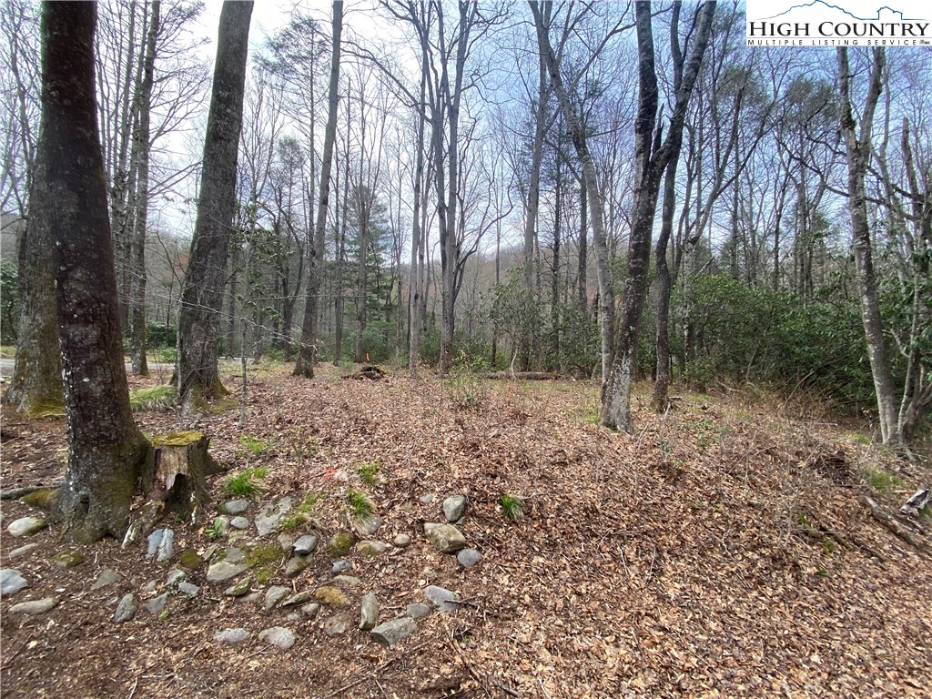 Sweetwater Ridge Burnsville, NC 28714 - Photo 25 of 39 a view of outdoor space and view of trees