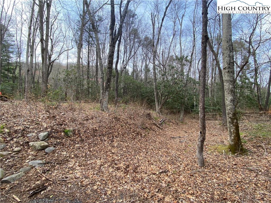 Sweetwater Ridge Burnsville, NC 28714 - Photo 26 of 39 a view of outdoor space with trees