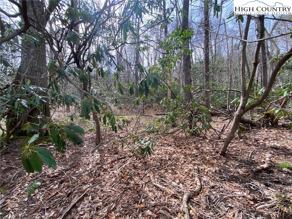Sweetwater Ridge Burnsville, NC 28714 - Photo 28 of 39 a big yard with lots of plants and trees