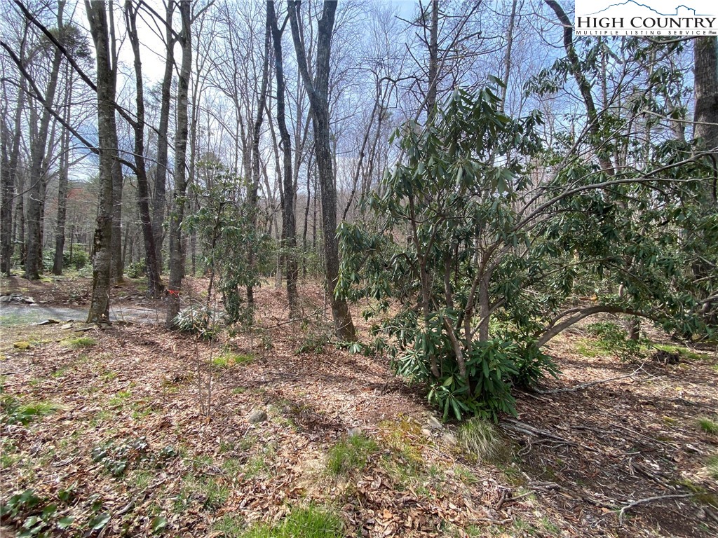 Sweetwater Ridge Burnsville, NC 28714 - Photo 29 of 39 a view of outdoor space with trees