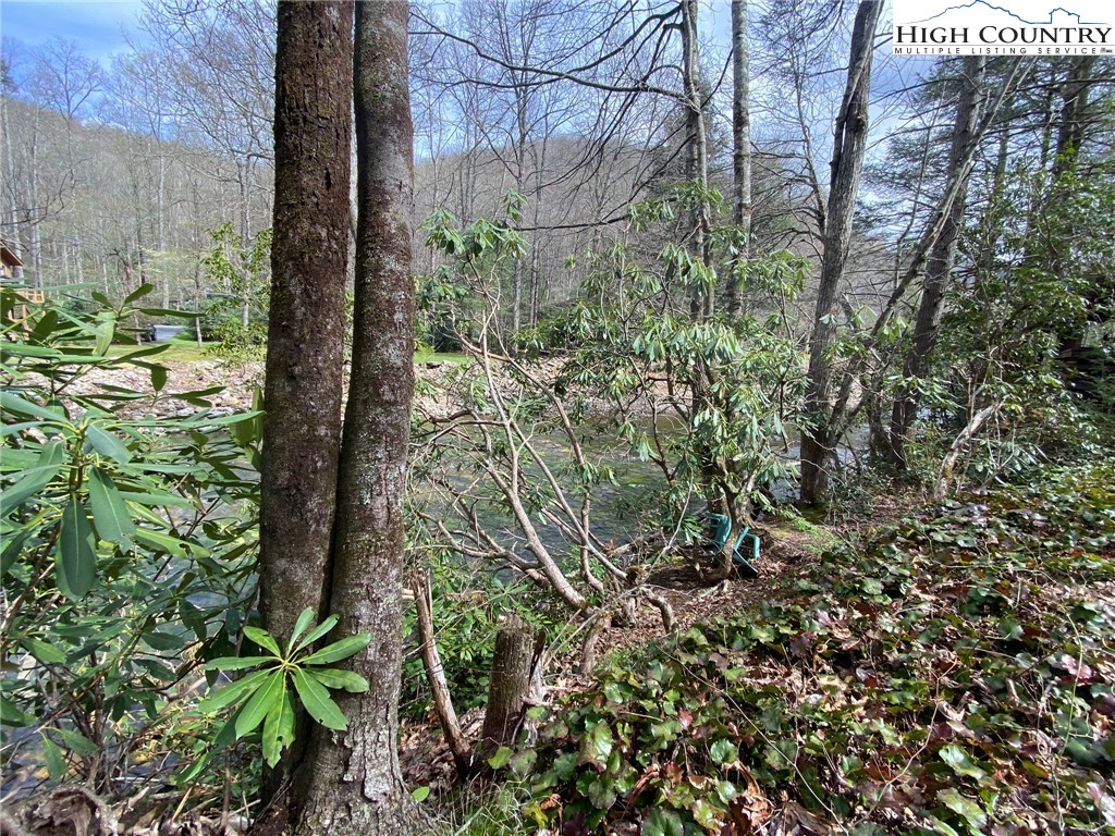 Sweetwater Ridge Burnsville, NC 28714 - Photo 30 of 39 a backyard of a building with lots of plants