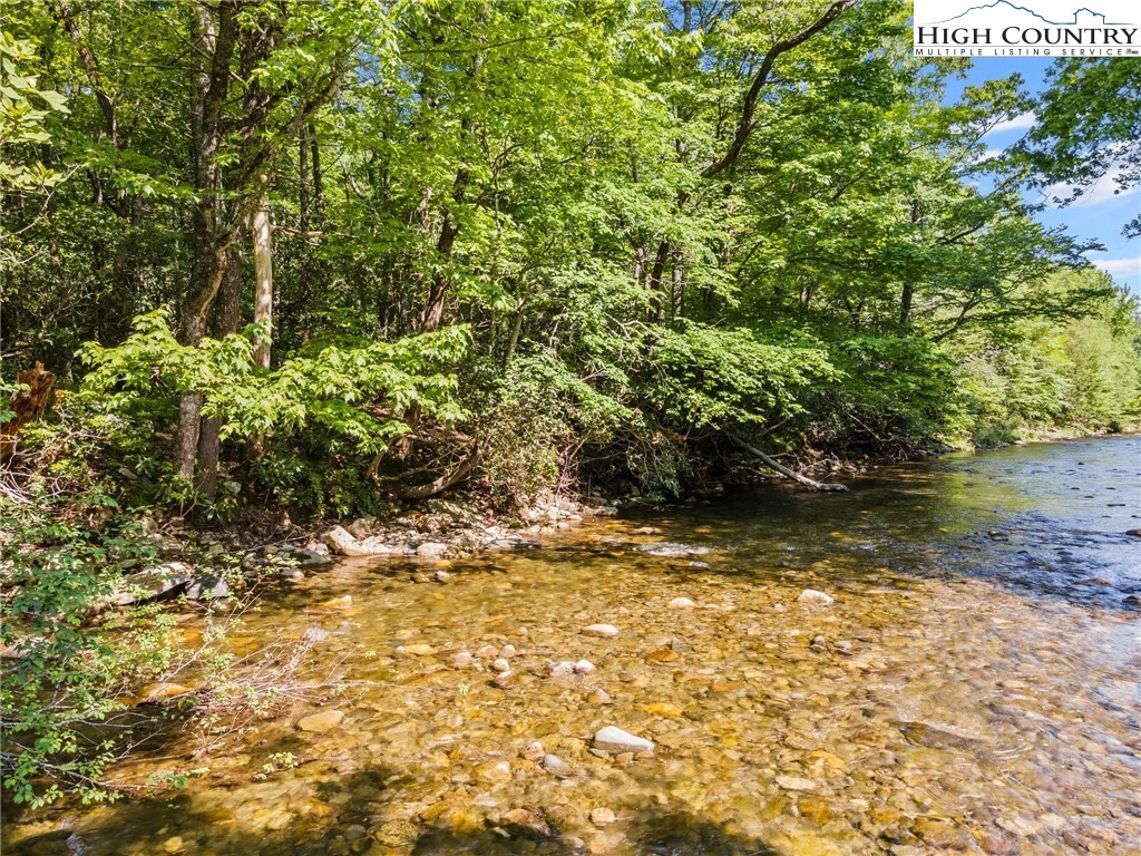 Sweetwater Ridge Burnsville, NC 28714 - Photo 3 of 39 a view of a yard with plants and large trees