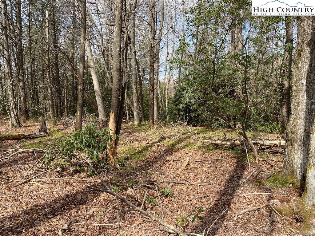 Sweetwater Ridge Burnsville, NC 28714 - Photo 31 of 39 a view of backyard space
