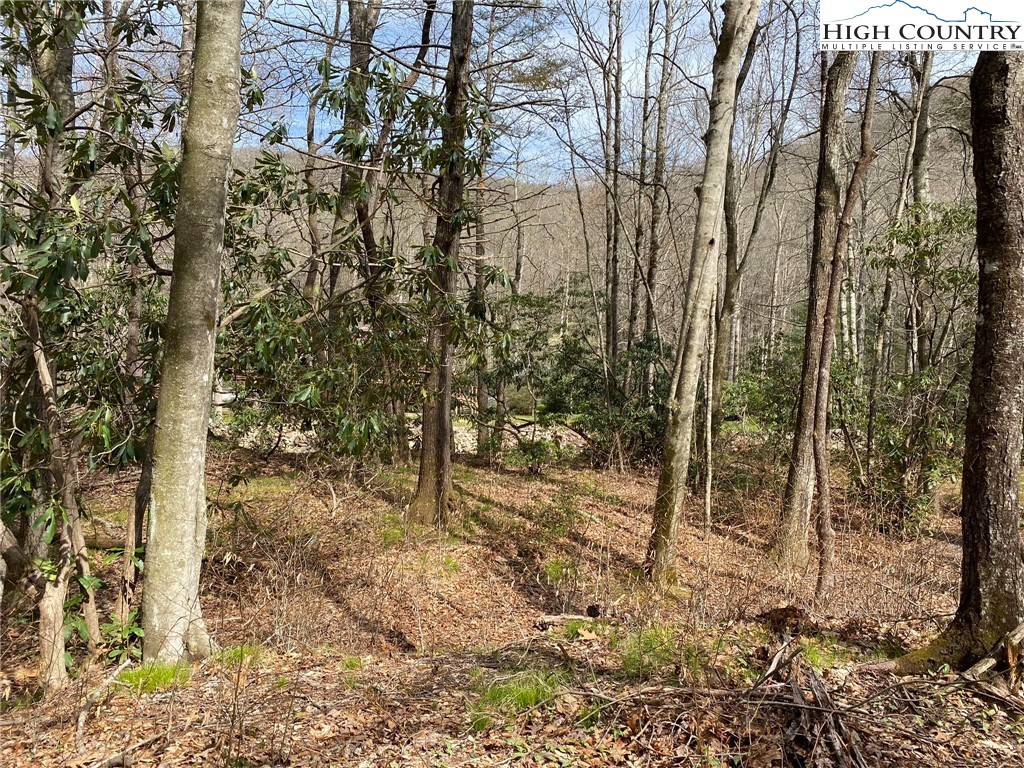 Sweetwater Ridge Burnsville, NC 28714 - Photo 32 of 39 a view of a forest