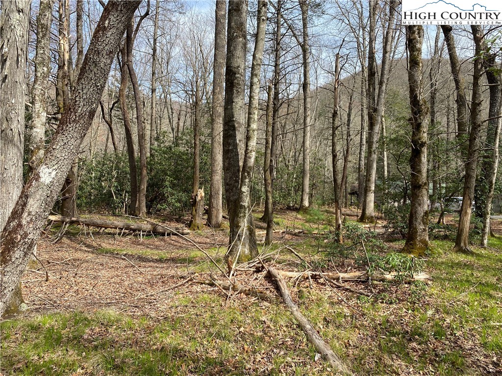 Sweetwater Ridge Burnsville, NC 28714 - Photo 34 of 39 a view of a yard with plants and trees