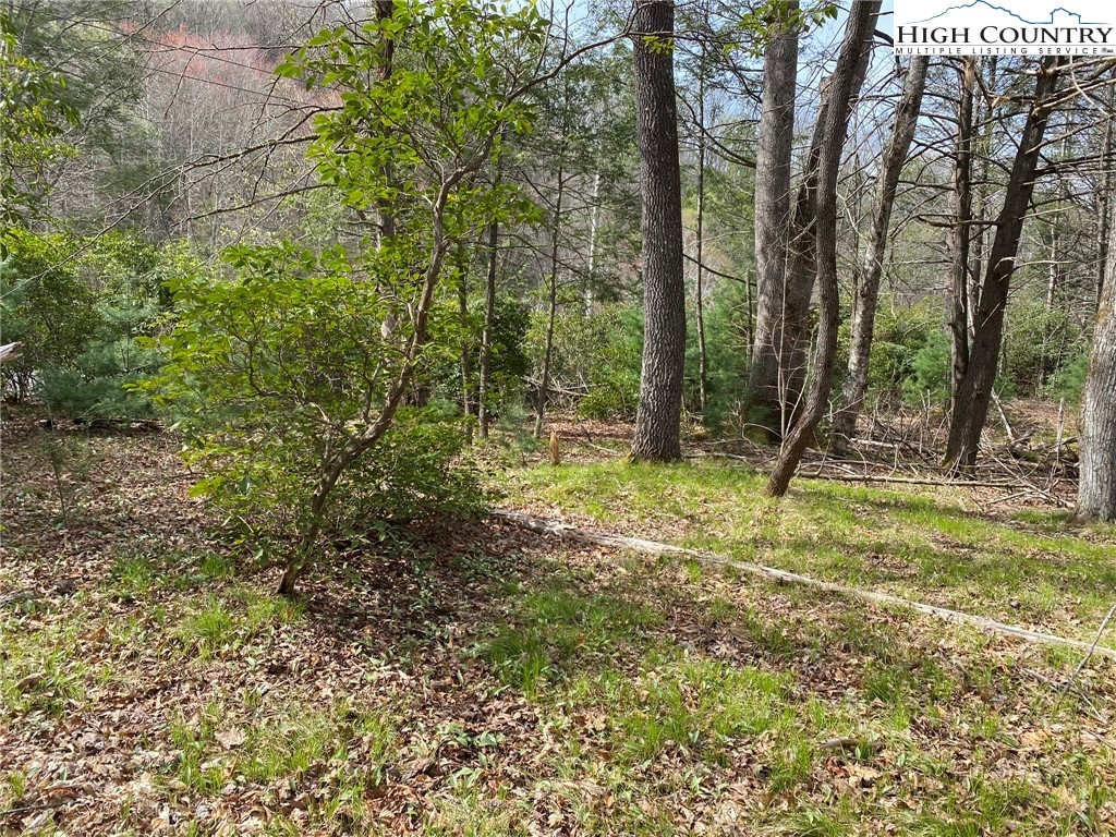 Sweetwater Ridge Burnsville, NC 28714 - Photo 35 of 39 a view of outdoor space with deck and tree