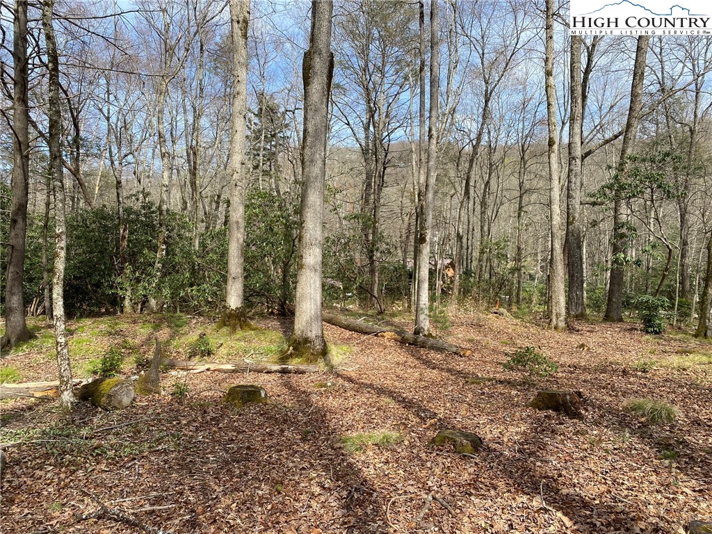Sweetwater Ridge Burnsville, NC 28714 - Photo 37 of 39 a view of outdoor space with trees