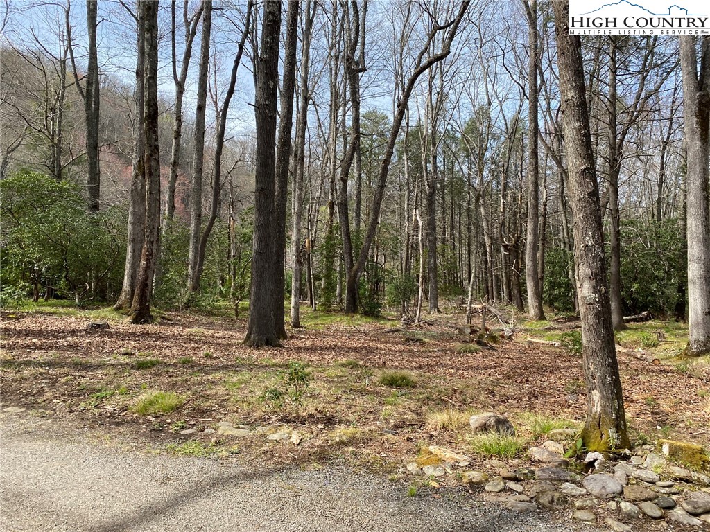 Sweetwater Ridge Burnsville, NC 28714 - Photo 38 of 39 a fire hydrant in the middle of a yard