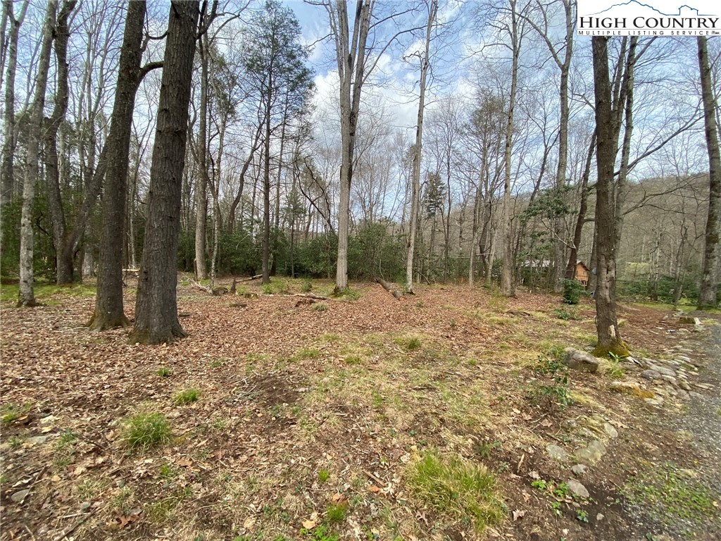 Sweetwater Ridge Burnsville, NC 28714 - Photo 39 of 39 a view of outdoor space with trees