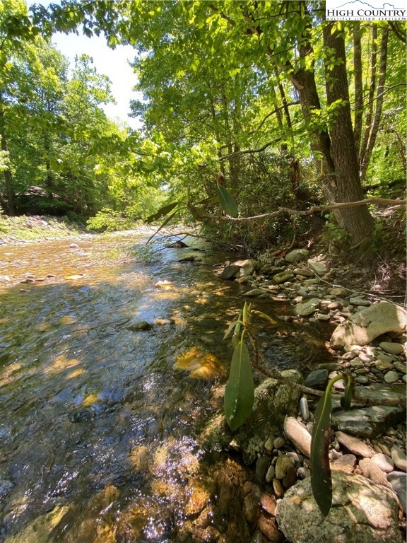 Sweetwater Ridge Burnsville, NC 28714 - Photo 5 of 39 a view of a tree in a yard
