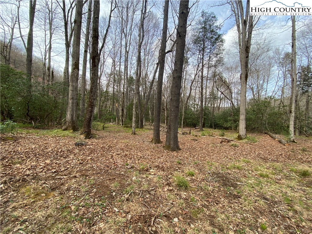 Sweetwater Ridge Burnsville, NC 28714 - Photo 6 of 39 a view of outdoor space with lots of trees