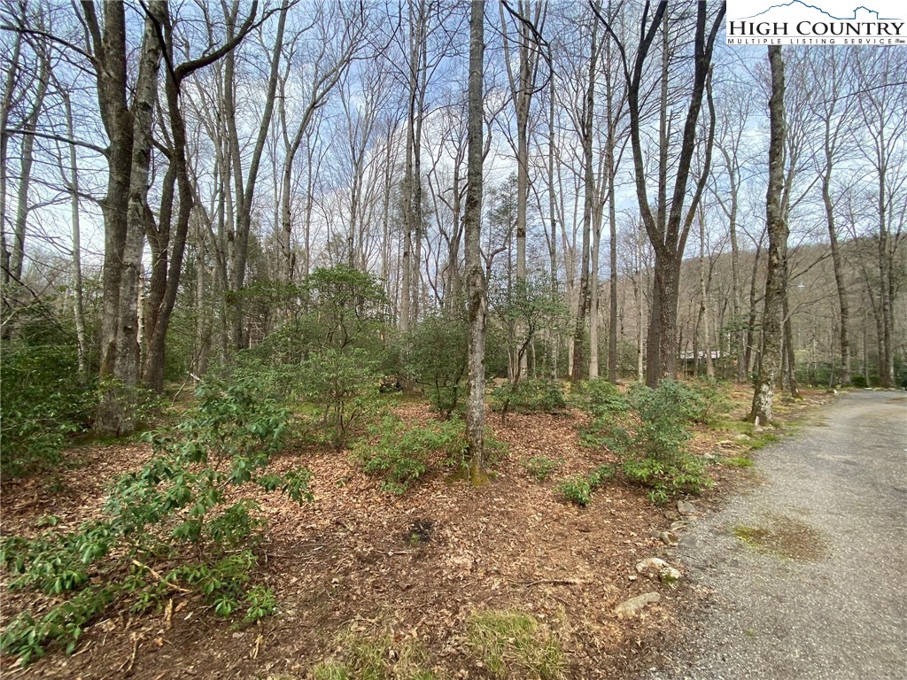 Sweetwater Ridge Burnsville, NC 28714 - Photo 7 of 39 a view of outdoor space and green space