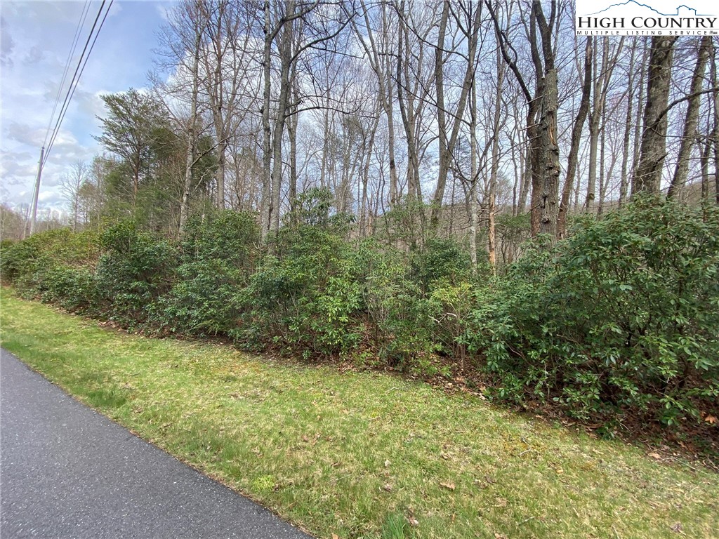 Sweetwater Ridge Burnsville, NC 28714 - Photo 8 of 39 a view of a yard with plants and large trees