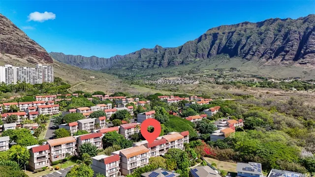 a view of a bunch of flowers